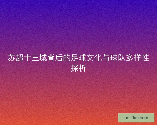 苏超十三城背后的足球文化与球队多样性探析